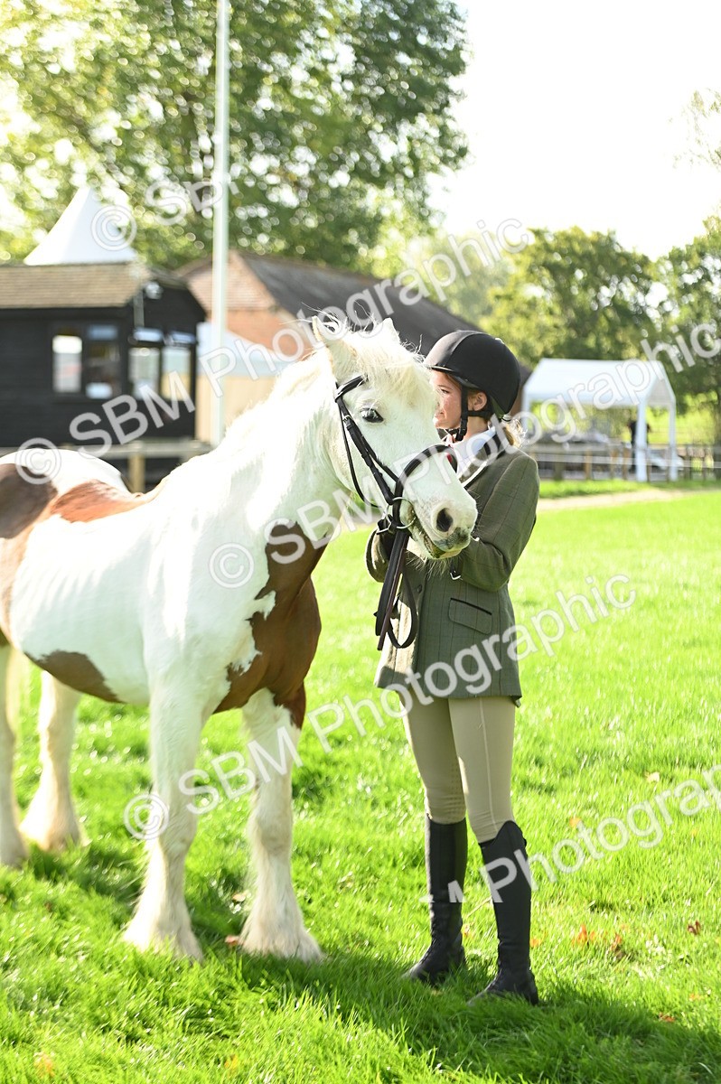 SBM_15894 - S1 - TSR in Hand Horse & Pony Showing