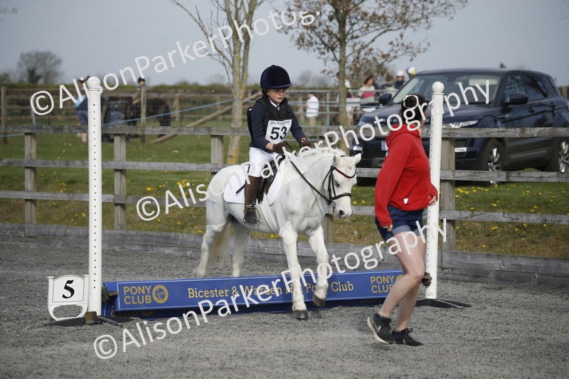 20250412-0061 - Show Jumping