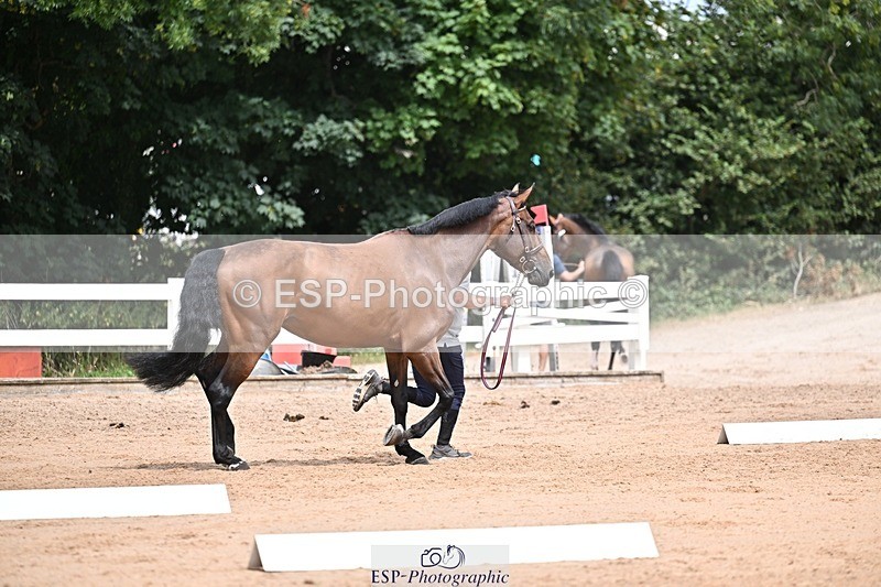 250716-132726-00524 - Trot Up 12.30 to 1.30