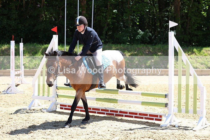 3E7A2643 - Class 4/5: 60cm Open Teams and Individuals