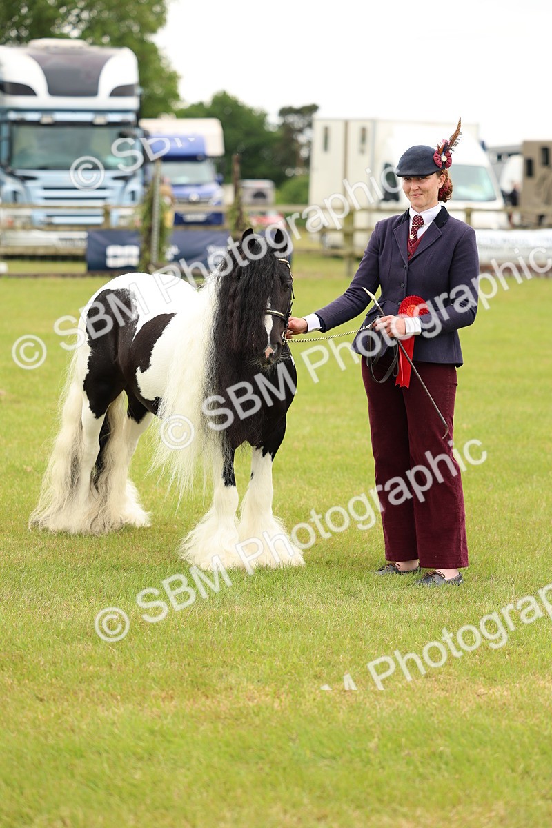 SBM_06306 - Class 39-41 TGCA In Hand and Ridden