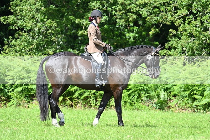 WJ7_1042 - Class 11 Condition & Turnout