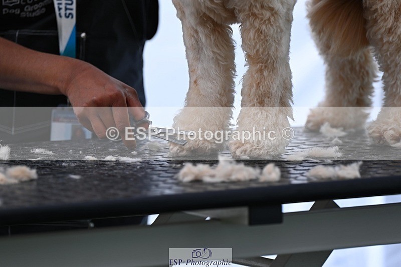 240525-114904-12634 - Candid and Saturday Hobby Horse