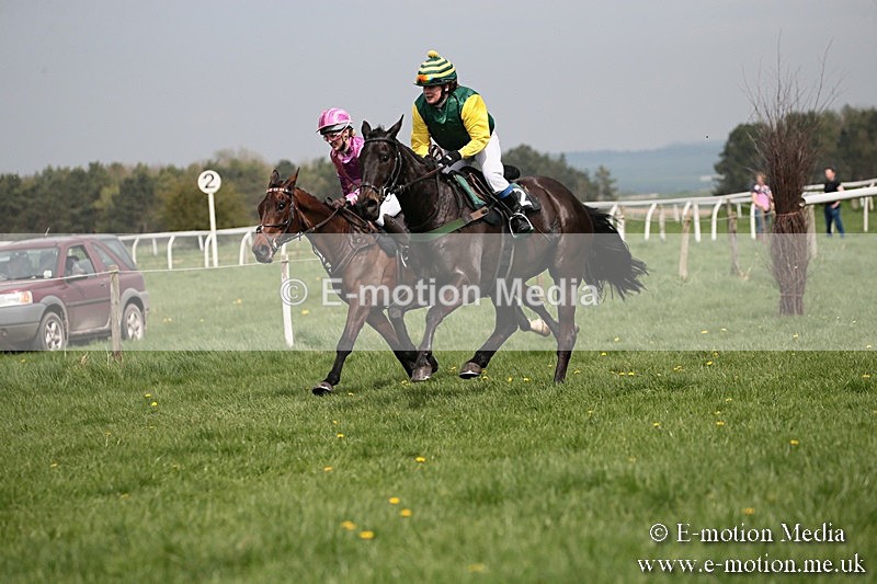 PtP 210418 28 - South & West Wilts Point-to-Point Larkhill 21/04/18