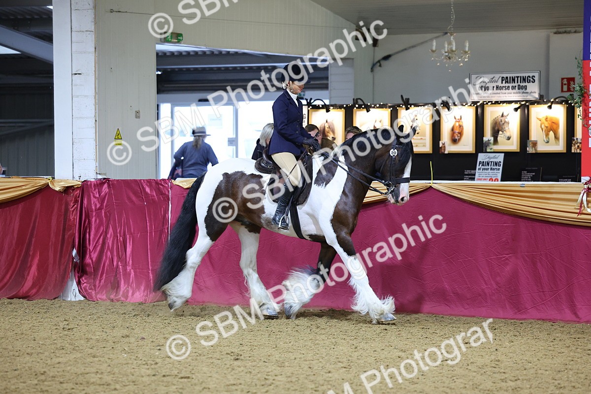SBM_18568 - Class B Junior Champ 11-16 years