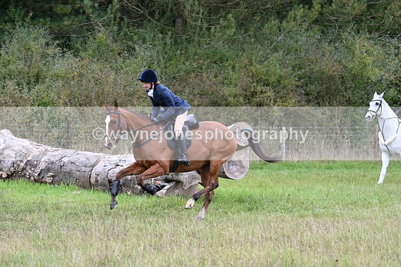 WJ7_3635 - Camera 1 Line 1