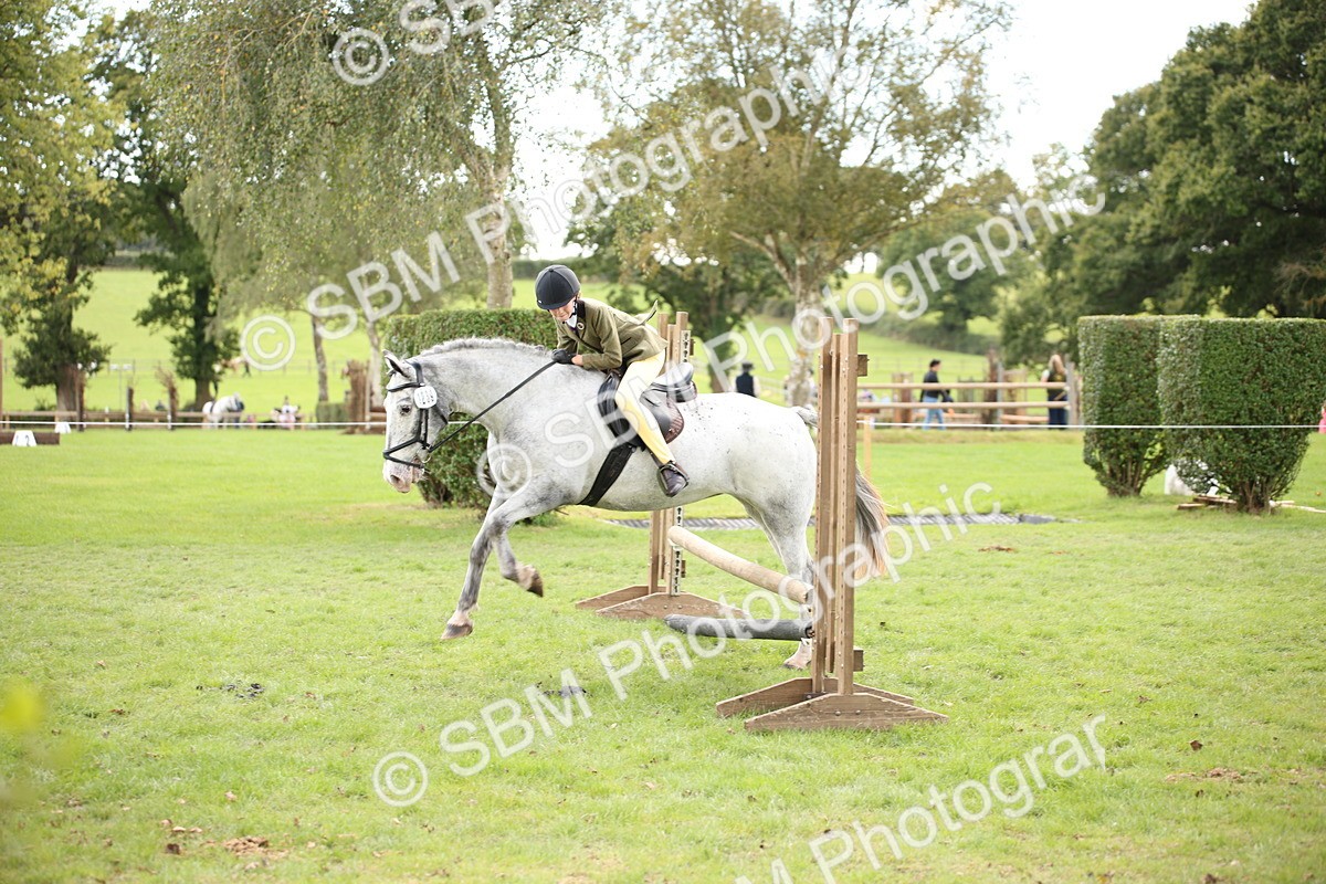 SBM_42298 - S13 - Pony Club Pony