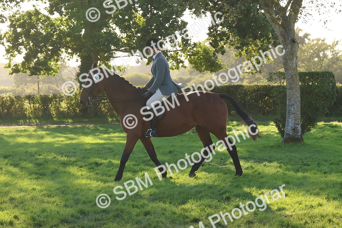SBM_53011 - S29 - Mature Veteran Ridden
