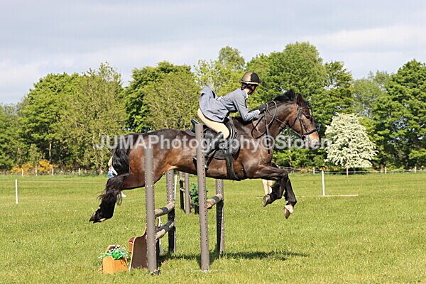 IMG_4765 - Working Hunter