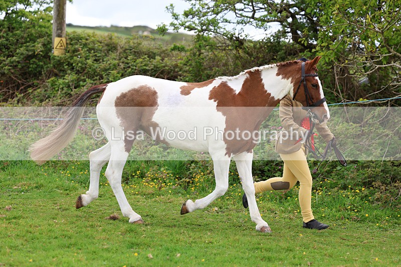 3E7A0791 - In Hand Championship