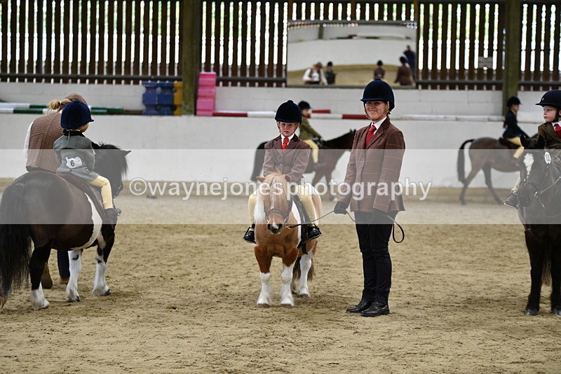 WJ5_7073 - Class 10 Childs Pony
