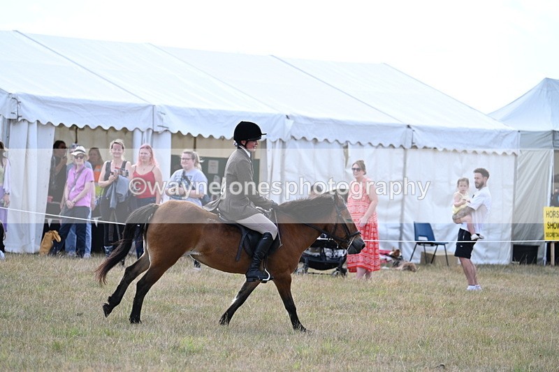WJ7_6444 - Class 13 Ridden Veterans