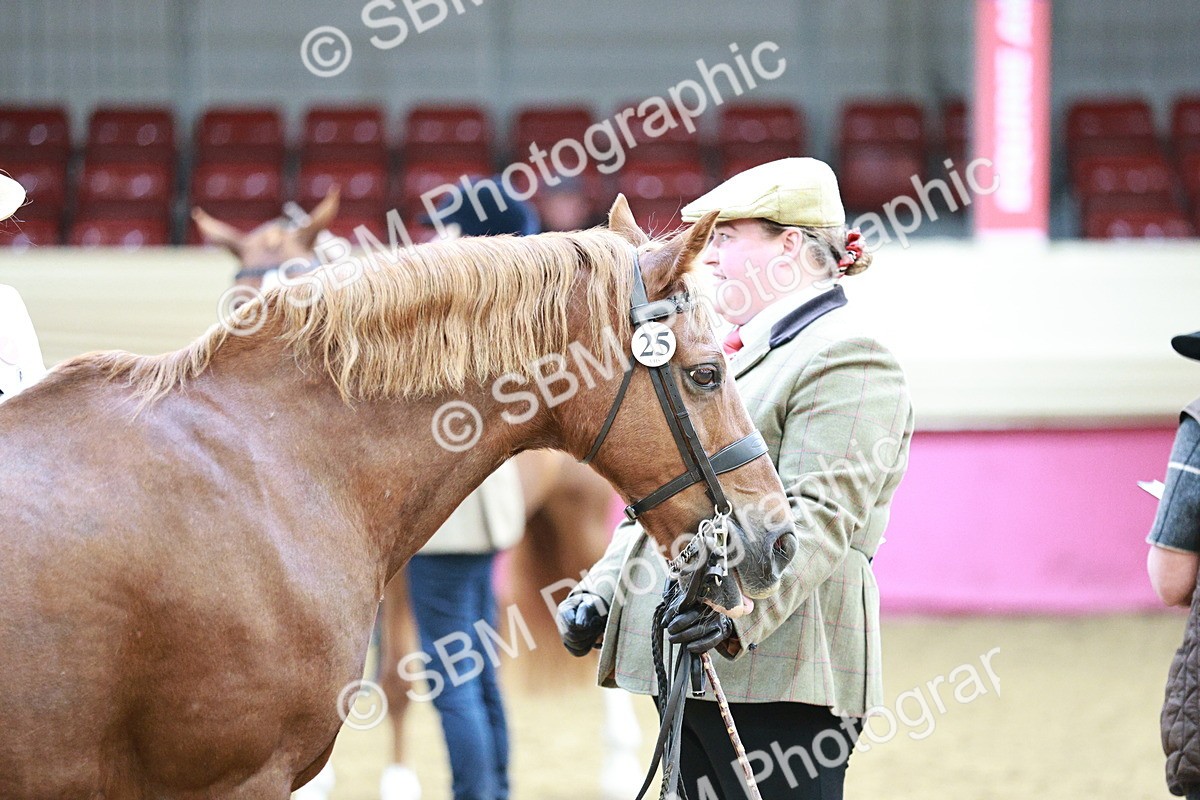 SBM_04836 - Class 7R - Regional IH Diamond