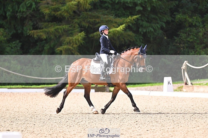 240809-100036-00015 - 211-Amelia.Dovey-Caederwen.Lady.Elinor