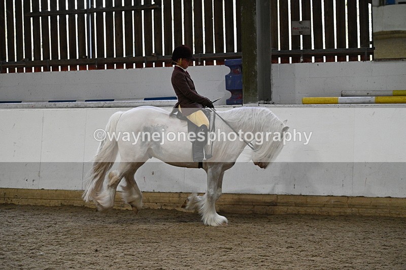 WJ7_3858 - Class 17 Ridden Cob