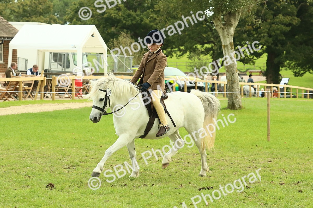 SBM_69932 - S59 - Mountain & Moorland Ridden Small Breeds