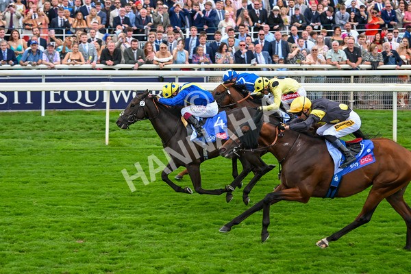 230825-Race 3-Never So Brave-0101 - Race 3 3.00pm Sky Bet City Of York Stakes