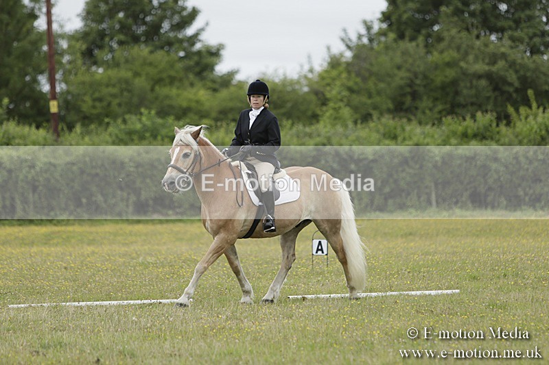 BVR160717-1164 - Class 2 Dressage 16/07/17