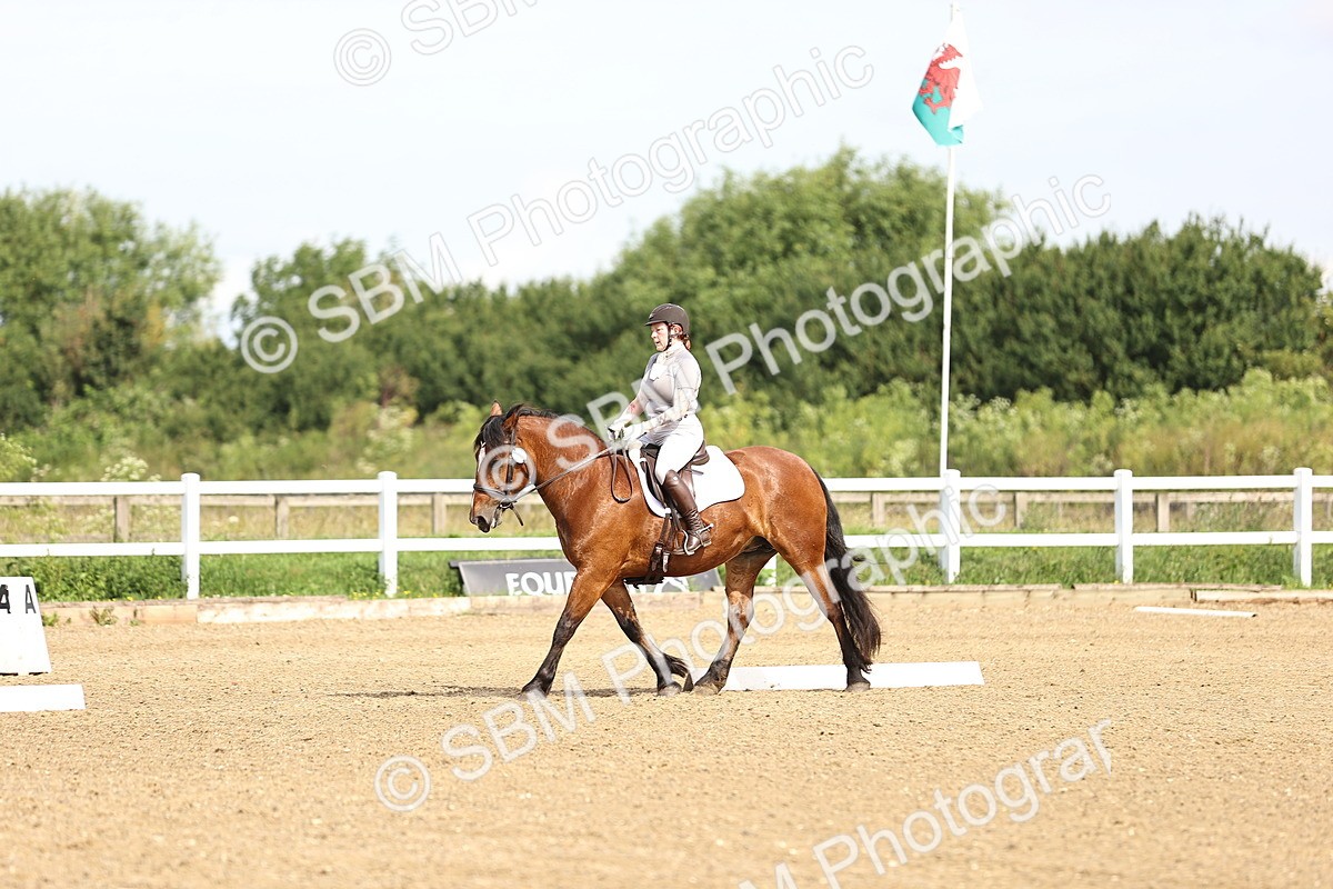 SBM_000299 - Class 2 - Prelim 5