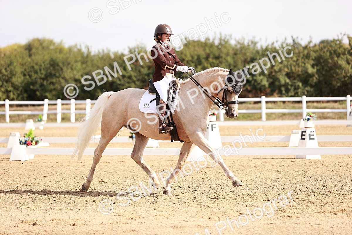 SBM_017028 - Class 10 - Medium 6