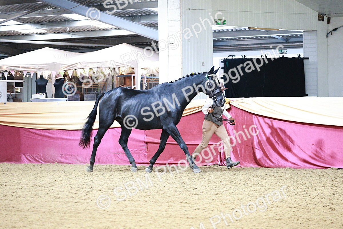 SBM_00165 - Class 1A - Area IH Diamond