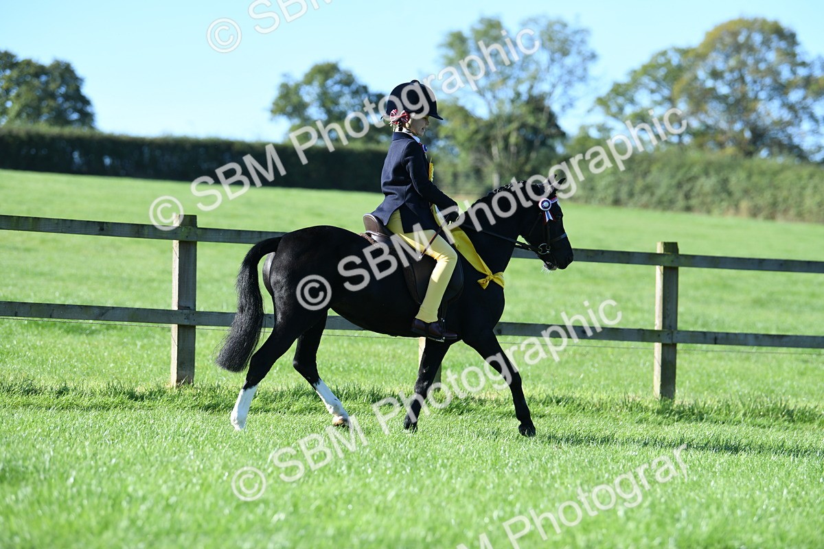 SBM_35549 - Top Turnout Supreme Championship