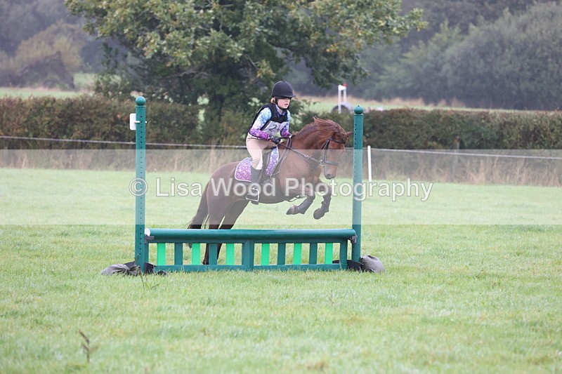 JPP_4955 - Class 1: 65cm : Showjumping