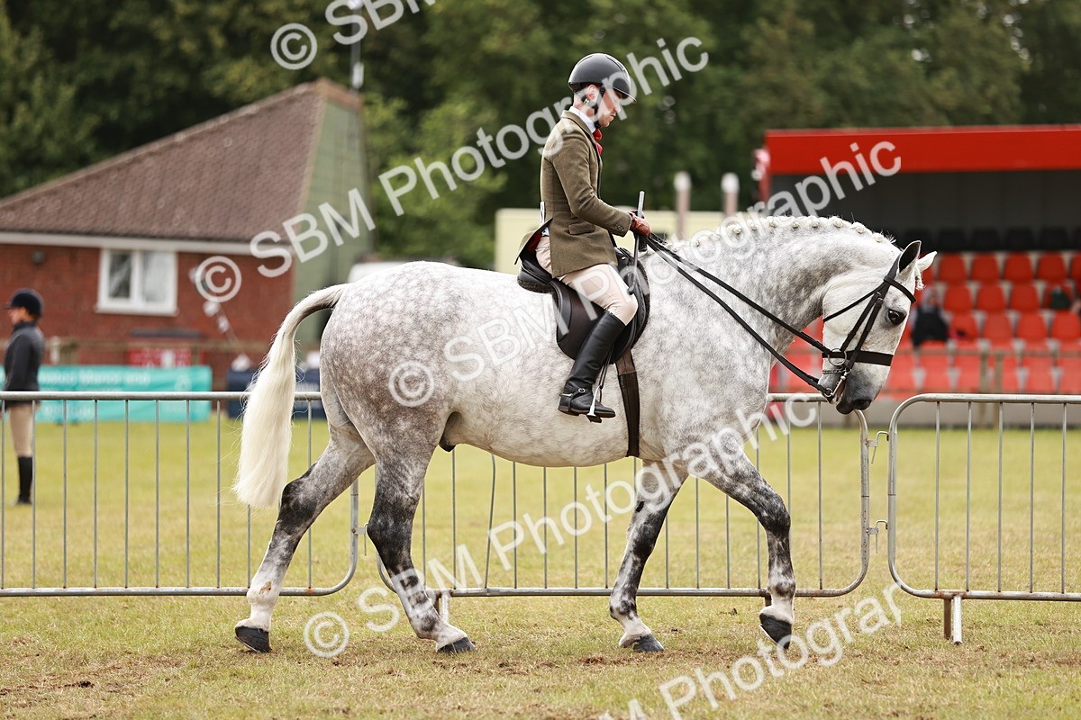 SBM_10903 - Class 81-84 - RIHS Ridden hunters Inc Ladies Hunter