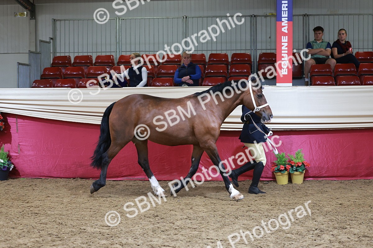 SBM_17438 - Class 951 - M&M IH Supreme Final