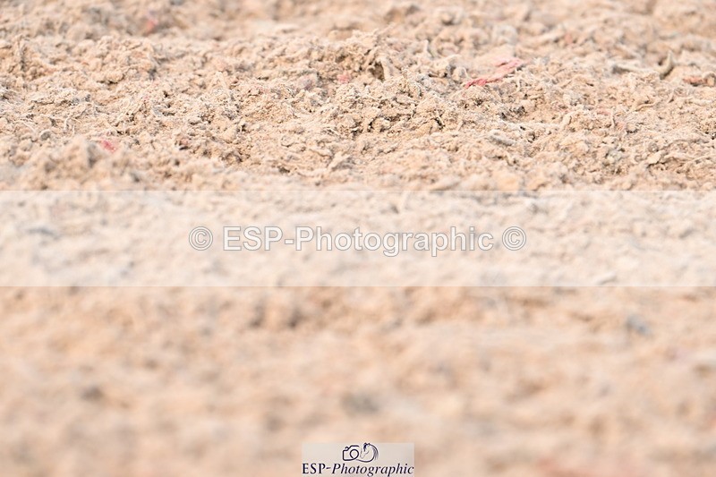 240324A-133536-03435 - Novice 28, 13.00 to 14.00