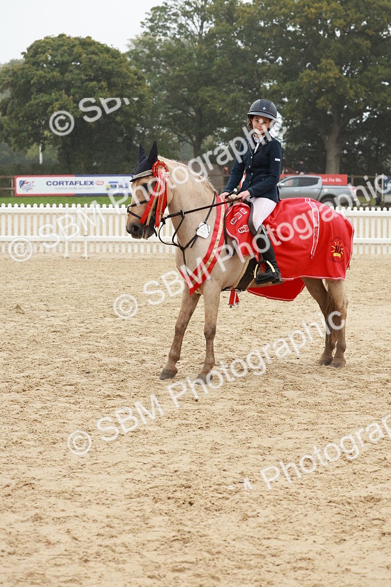SBM_73514 - Supreme Championship Junior Pony 60cm & 65cm