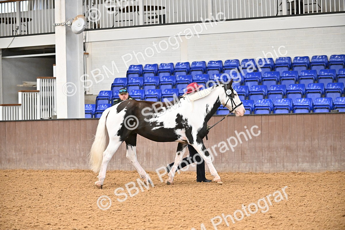 SBM_000021 - Class 1 - In Hand Cob