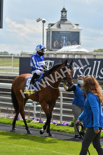 yr12052021r2-12 - Race 2 2.10pm Churchill Tyres Stakes