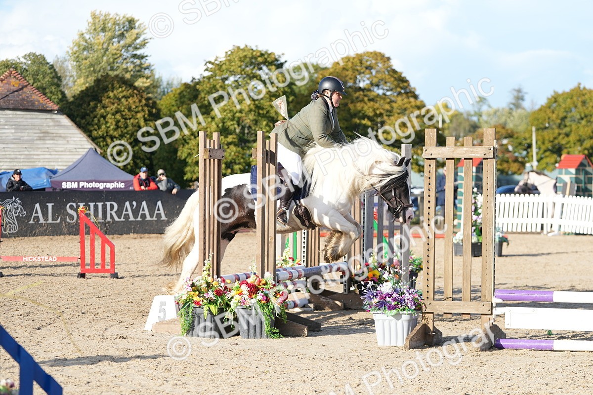 SBM_28975 - J43 - Horse & Hound Open 50cm