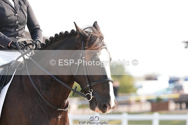 250817-092840-07150 - 159-Tiffany.OgdenBobby.Boucher