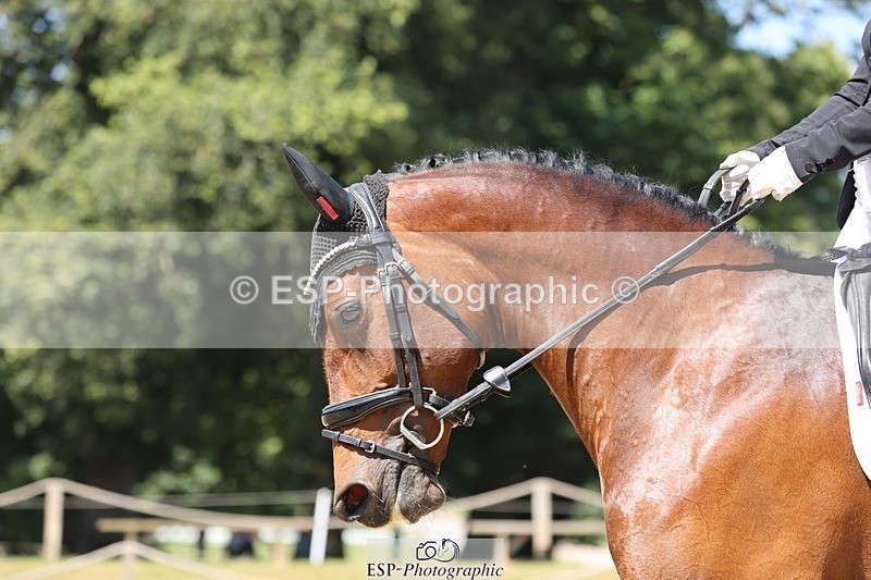 240719-115641-01536 - 154-Lucinda_Paull-Imperatrix