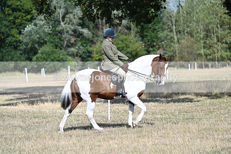 WJ7_2773 - Class 8 Ridden Tack & Turnout