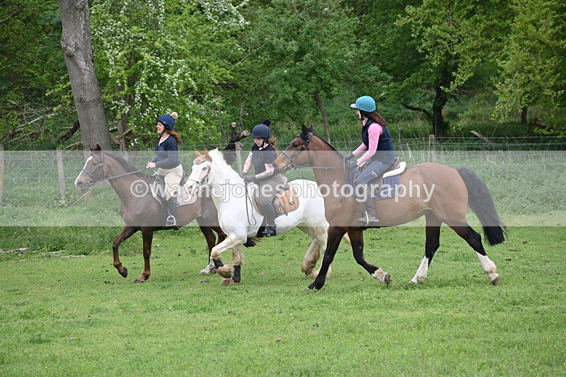 WJ6_3126 - A camera