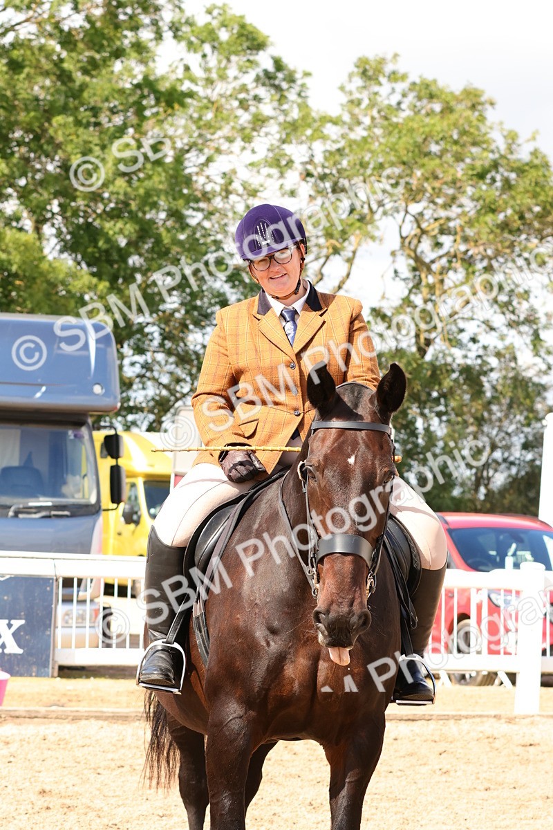 SBM_13525 - Class 212 - Ridden Hunter  - Large