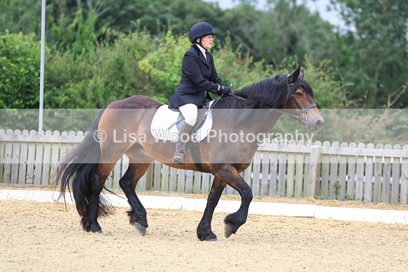 3E7A4708 - Class 1: Intro 4 2024 section A