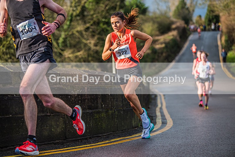 Ribble-482 - Ribble Valley 10K Sunday 31st December 2023