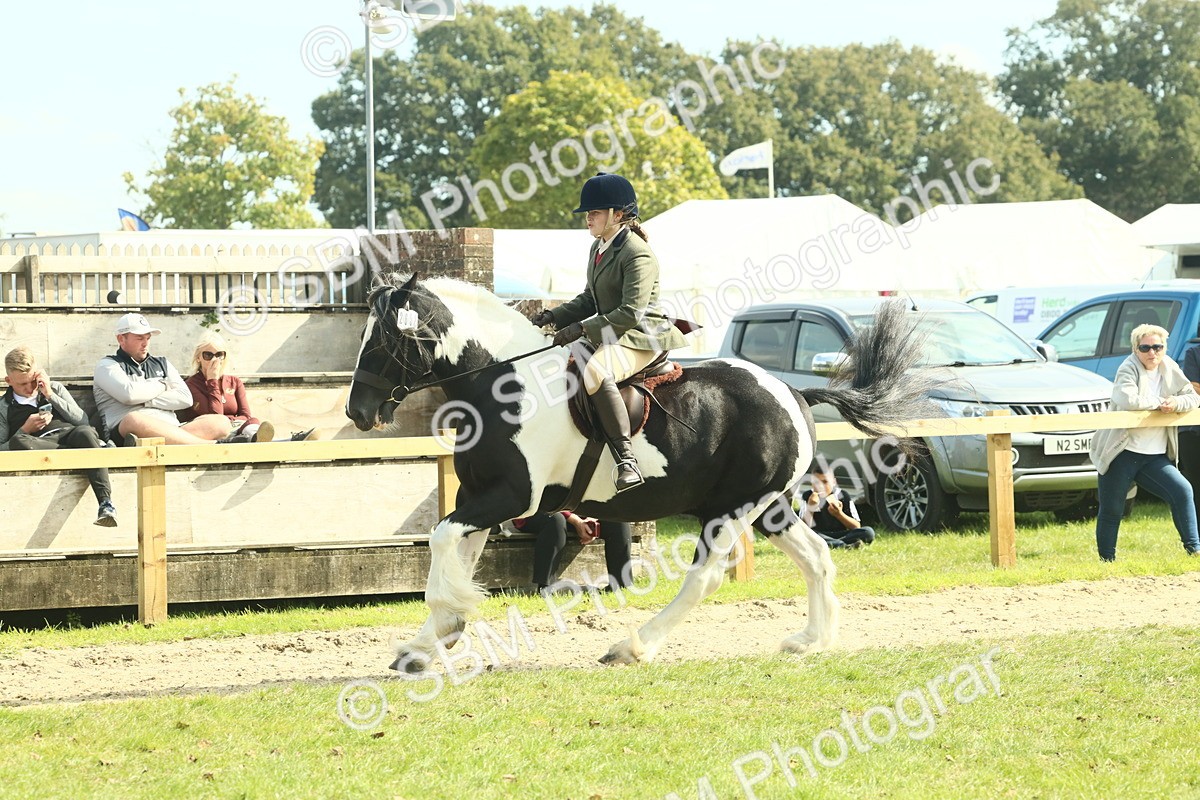 SBM_68815 - S58 - Mini Show Cob Ridden