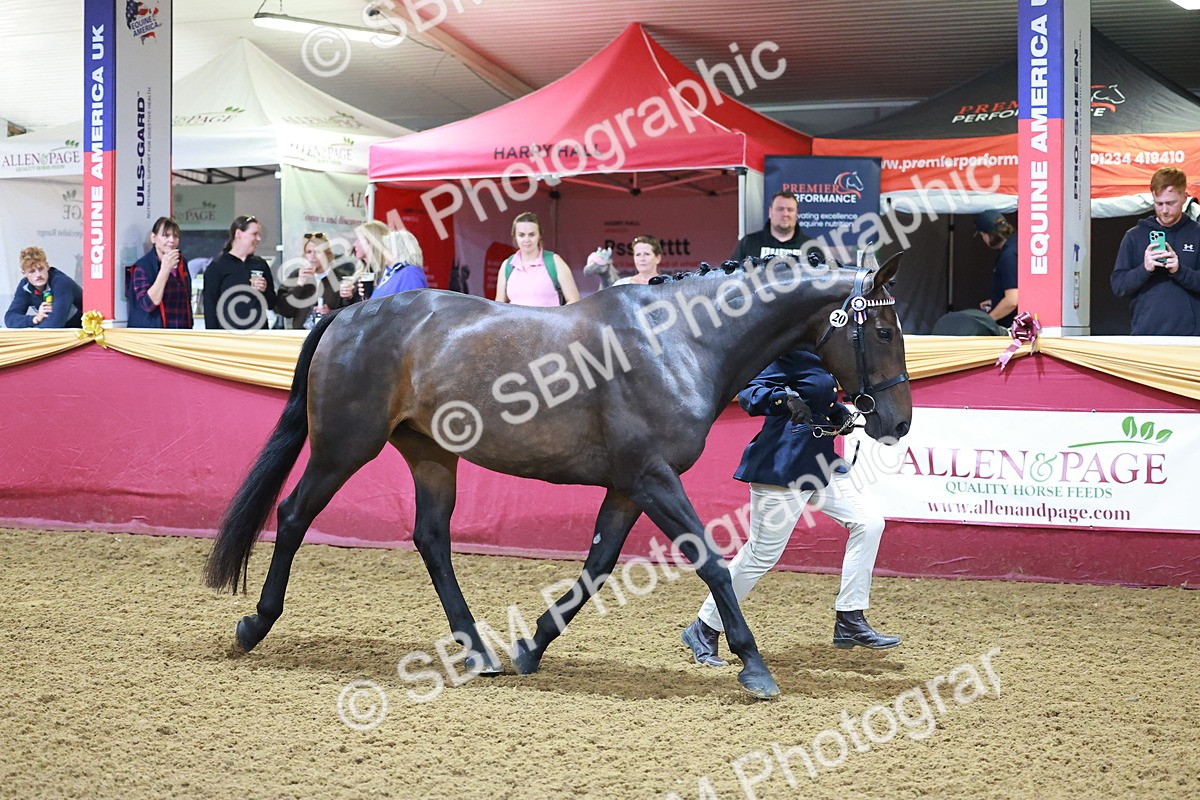 SBM_14728 - Class C - Novelty champ