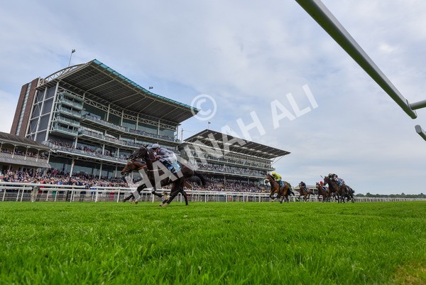 160524-Race 6-Andesite-2-3 - Race 6 4.45pm Frank Whittle Partnership ebfstallions.com Novice Stakes