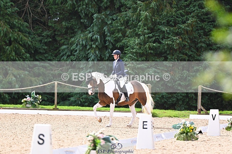 240809-103953-00357 - 160-Sian.Lowe-Pinecroft.Indigo