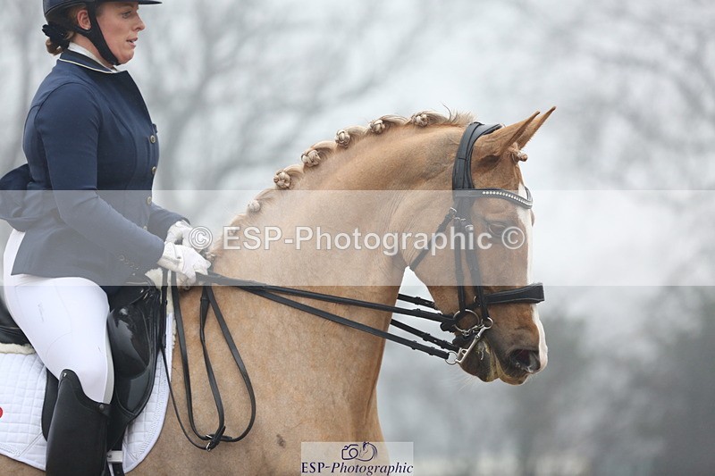 240217A-123548-02924 - 274-Clare.Smith-Dori.Dragon.Fly