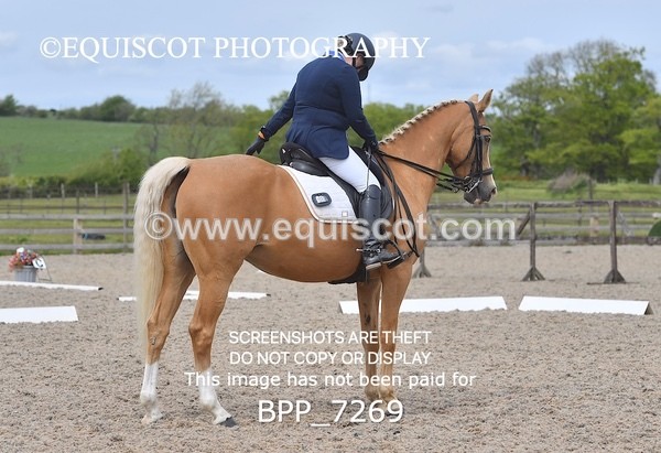 BPP_7269 - 3 D HARRISON