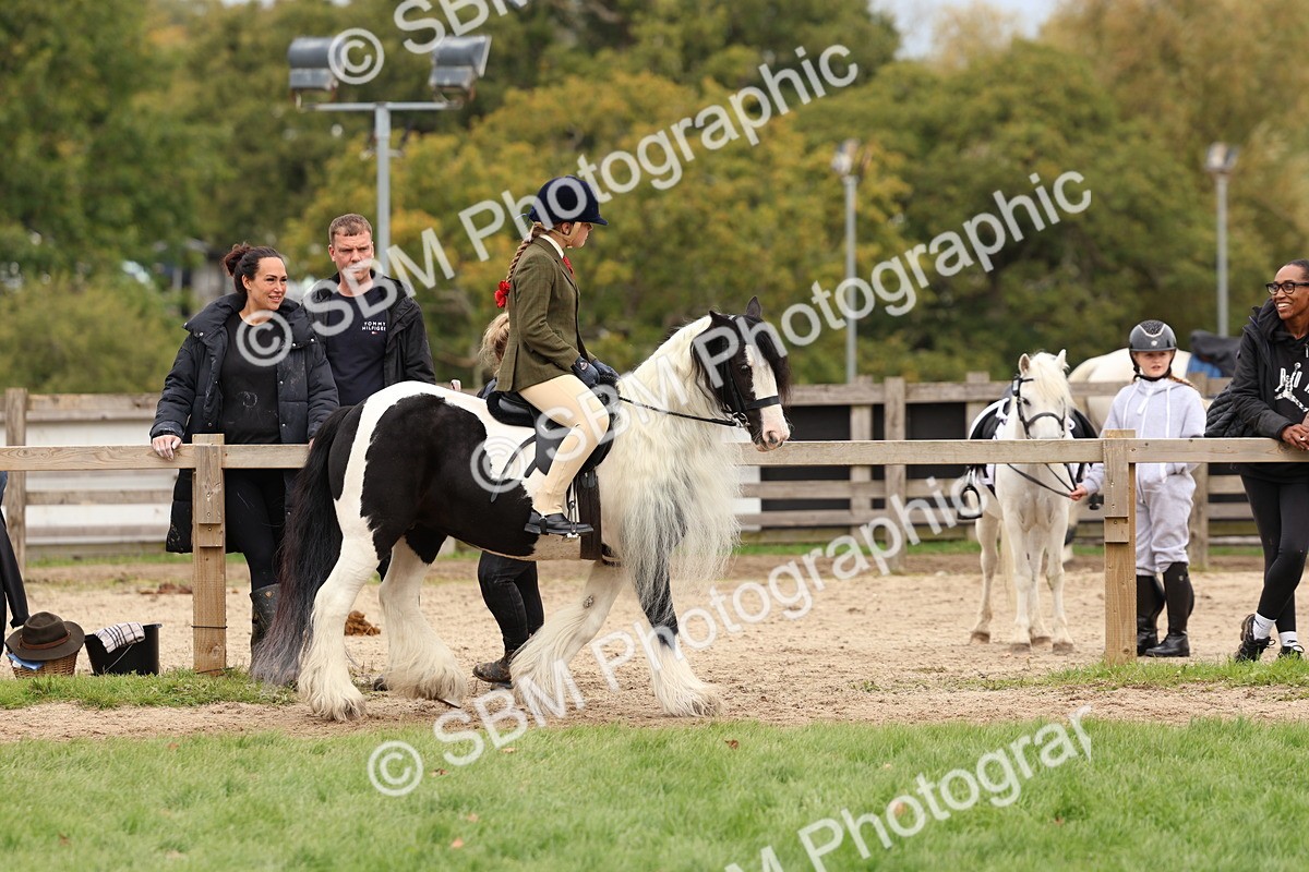 SBM_64405 - S58 - Coloured Pony Ridden