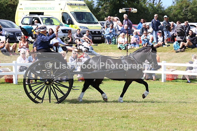 3E7A2825 - Class 12: Open Driving