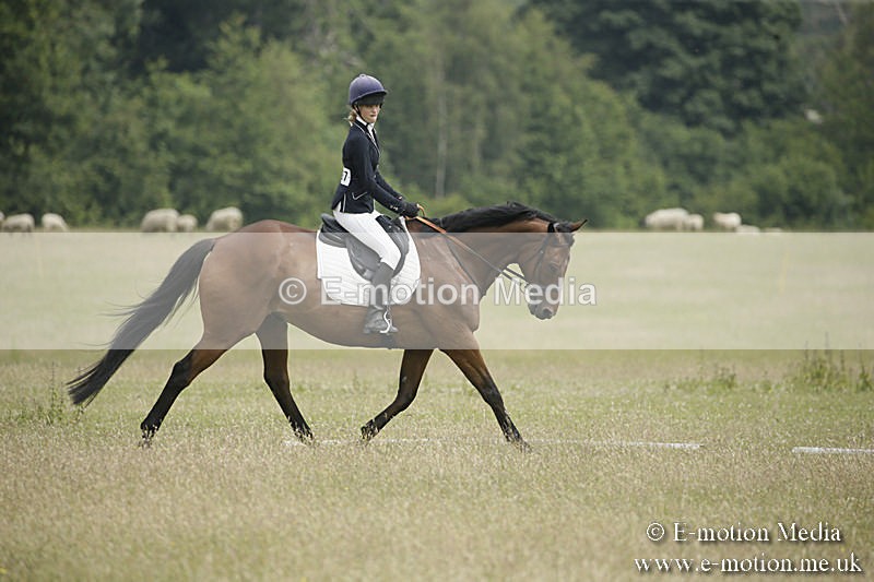 B230619-0404 - Bourne Valley Riding Club Summer Show 23/06/19